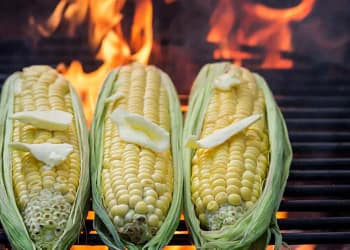 maïs grillé sur un feu de camp