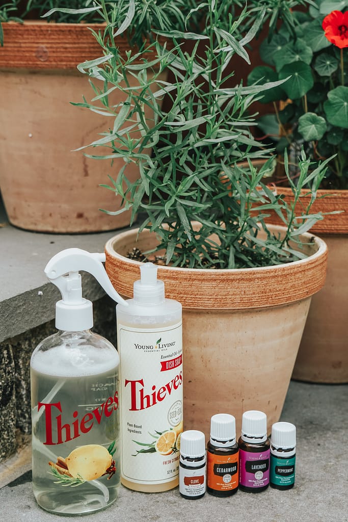 The Ultimate Guide to DIY Garden Pest Spray - My First Sprout